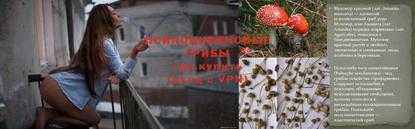 мдма Богданович