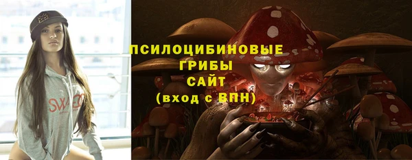 крисы Бугульма