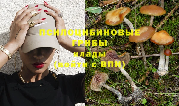мдма Богданович