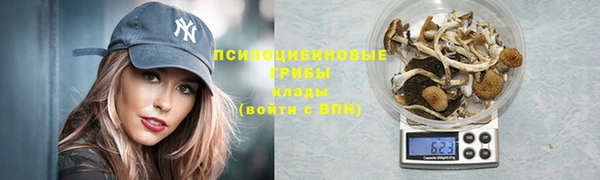 мдма Богданович