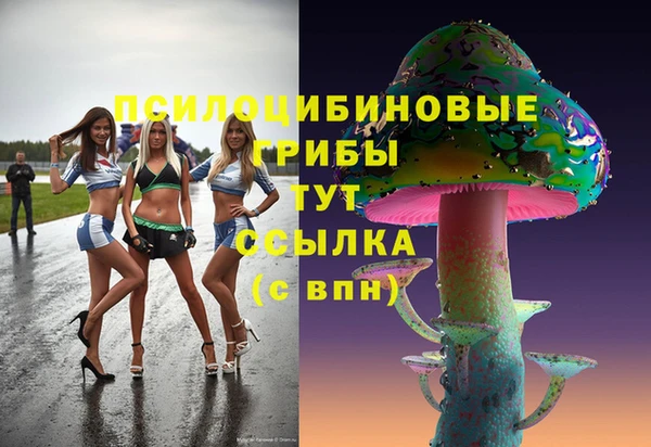 крисы Бугульма