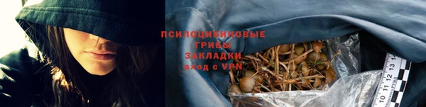 мет Бородино