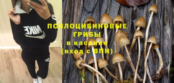меф Богородицк