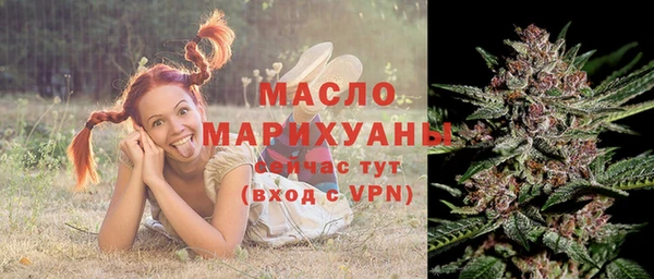 мет Бородино