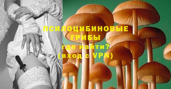 мдма Богданович