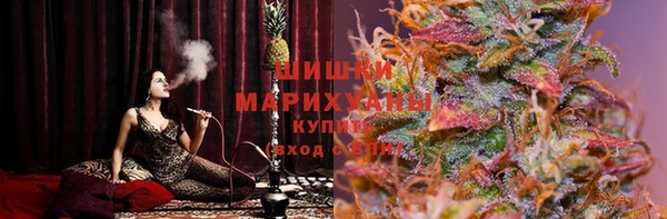 меф Богородицк
