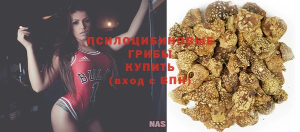 меф Богородицк