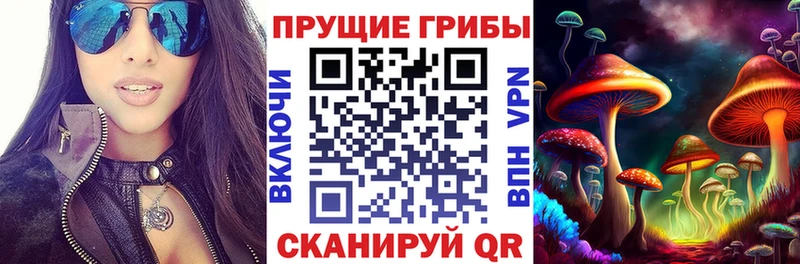 где можно купить Кизляр Псилоцибиновые грибы прущие грибы